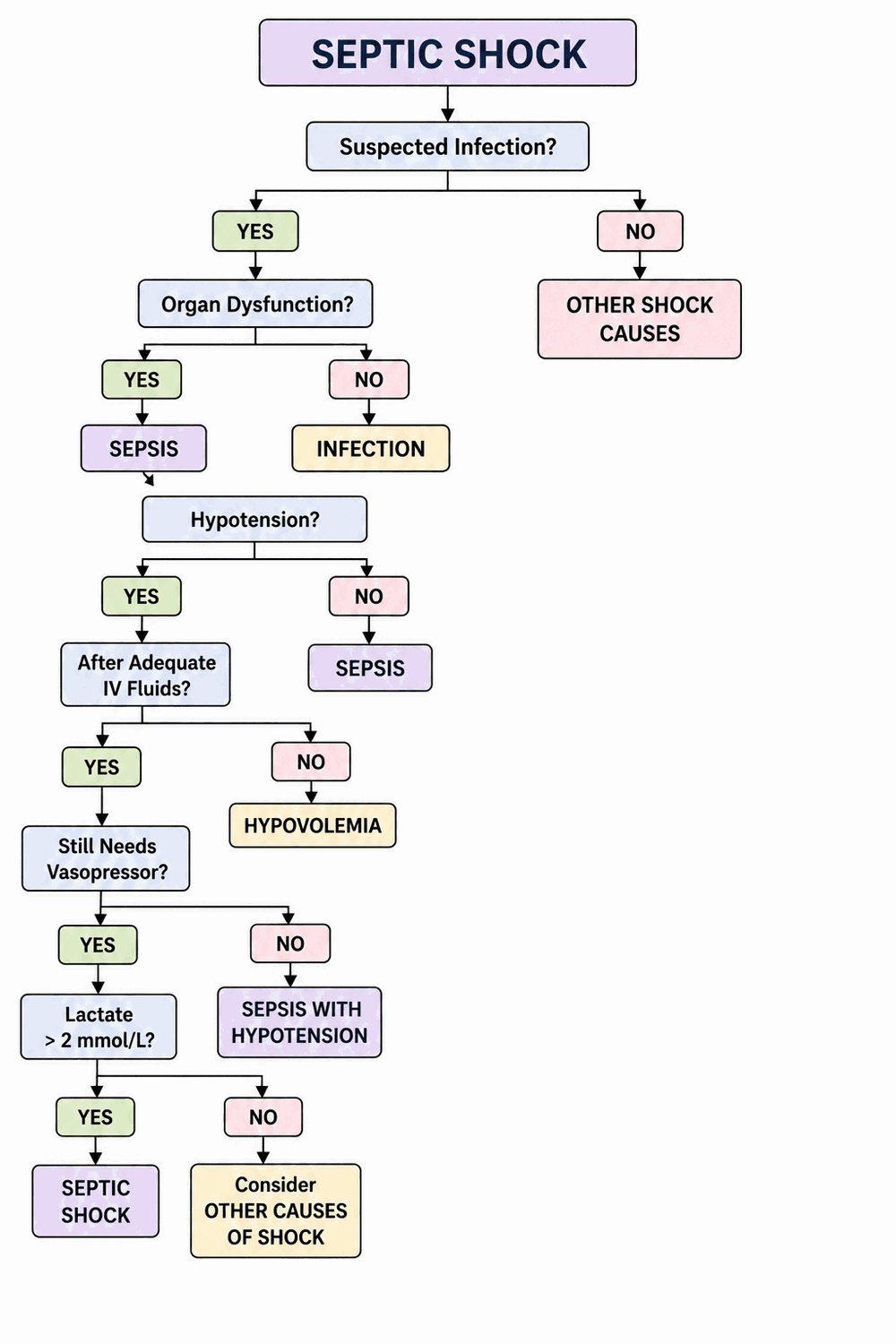 Septic shock flowchart preview